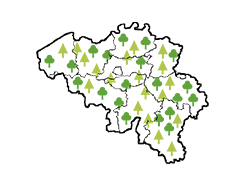 Combustible régional